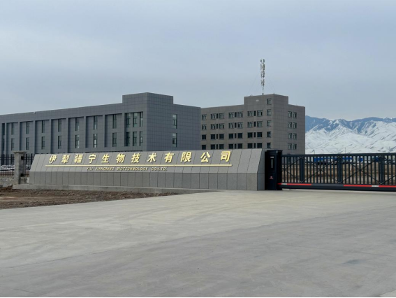 BetMGM·(中国区)官方网站